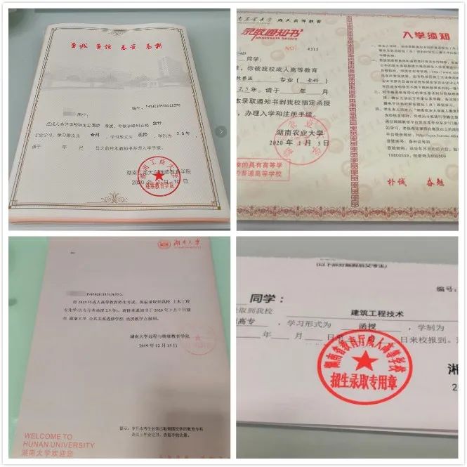 你有一份成人高考“通關(guān)寶典”請查收!