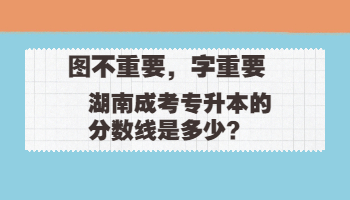 湖南成考 湖南成考分數線