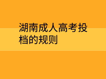 湖南成人高考投檔的規則